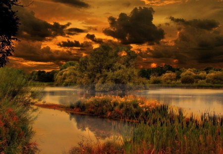 A GIFT OF GOLD - sky, landscape, trees, water, inspiration, nature, lakes, evening, clouds, sunsets, gifts, waterscapes, fall season