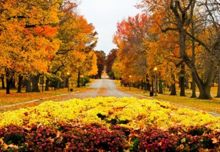 Autumn park - nice, autumn, falling, trees, light, path, lovely, foliage, nature, fall, yellow, beautiful, leaves, orange, alleys, flowers