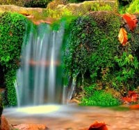 Wonderful waterfall