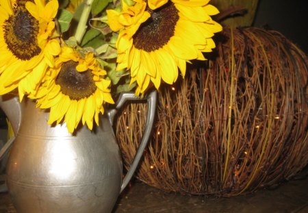 Cozy FALL♥ - pitcher, yellow, forever, cozy, love, brilliant, fall, sunflower, autumn, silver, arrangement