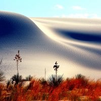 SAND DUNES