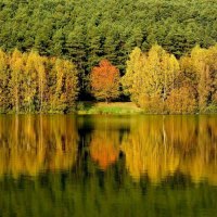 Golden Autumn Lake