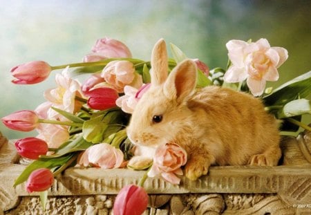 BUNNY CUDDLES - flowers, easter, pets, tulips, rabbits, bunnies, cuddlesome, baskets