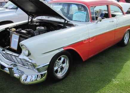 1956 Chevrolet - Chrome, Tires, Engine, grass, Photography, Chevrolet, Headlights, nickel, black, white, red, green