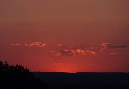 Painted Sky - sky, sunset, trees, clouds