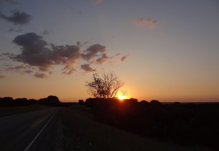 Sunset Road - road, clouds, trees, sunset, sun