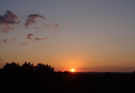 Texas Sunset - clouds, texas, trees, sunset, sun