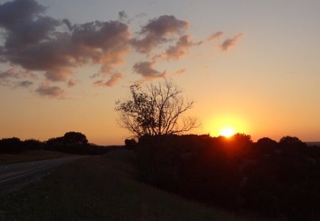 The Road at Sunset - sky, trees, clouds, sunset, road