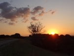 The Road at Sunset