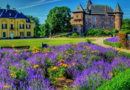 Lavender Lined Path to Town - flowers, nature, town, lavender, pathway, buildings