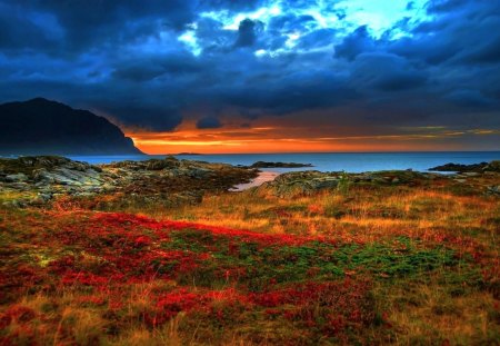 BEAUTIFUL HORIZON - sky, dark, sunset, sea, grass, rocks