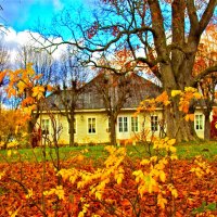 Autumn in countryside