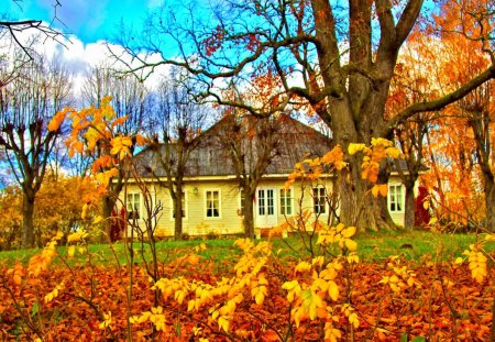 Autumn in countryside - cottage, branches, autumn, sky, falling, countryside, colorful, foliage, nature, fall, clouds, leaves, house, cabin