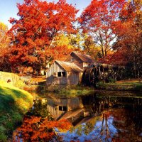 Autumn mill