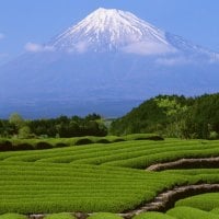 Mount Fuji