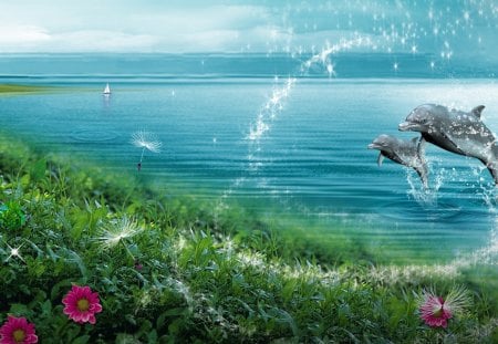 Melody from the Sea - fun, sky, beach, aqua, bay, fluff, clouds, dolphins, grass, sound, dandelions, freedom, stars, turquoise, ocean, jumping, swimming, summer, sparkle, blue, sailboat, flowers, sea, happy