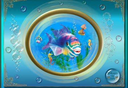 Happy Fish - oceans, seas, marinelife, aquariums, fish