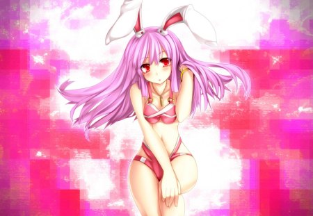 Beauty Bunny Reisen - beauty, touhou, girl, wall, anime, new