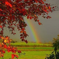 Rainbow in Autumn