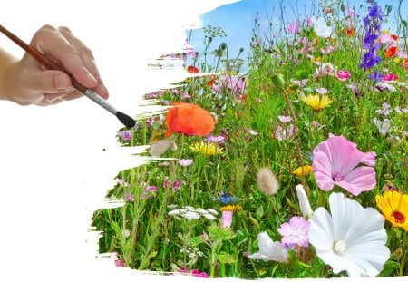 Spring - field of flowers, beauty, sky, photography, colorful, flowers field, spring, painting, pretty, hand, spring time, green, sunny, grass, pink flowers, brush, drawing, lovely, nature, pink, beautiful, splendor, sweet, colors, flowers, poppies, wildflowers, poppy