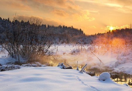 Winter - splendor, landscape, snow, forest, view, sky, woods, trees, winter, beautiful, snowy, beauty, lovely, tree, river, nature, winter time, stream water, mountains, peaceful