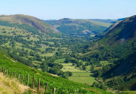 Lovely Valley. - total, greenery, of, the