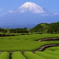 Mount Fuji Background