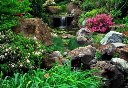 Paradise stream - nice, slope, paradise, riverbank, stream, greenery, creek, pretty, river, green, grass, mountain, summer, place, lovely, nature, forest, beautiful, delight, stones, flowers