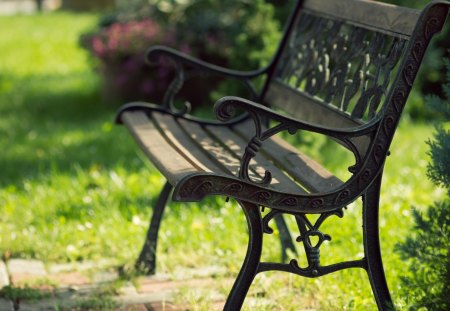 Stay Please Stay .. - abstract, nature, beautiful, green, photography, bench, grass, park