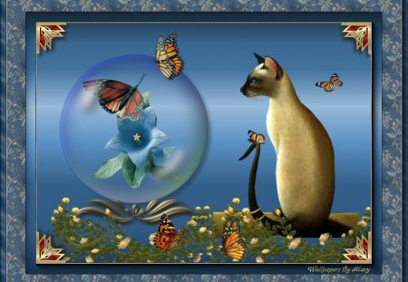 Watching Butterflies - cats, globes, siamese, butterflies