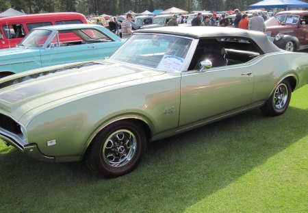 1969 Oldsmobile 442 s Muscle car - headlights, black, grass, blue, oldsmobile, nickel, car, burgundy, photography, green