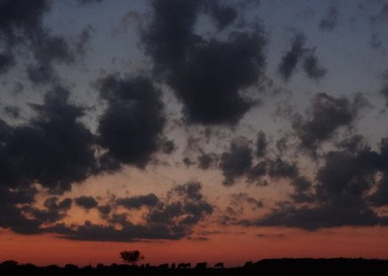 Sundown - night, sky, dusk, clouds