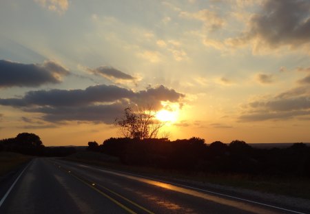 Sunset by The Road - clouds, trees, sunset, road, sky