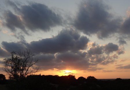 Beautiful Texas Sunset - sky, clouds, texas, tree, sunset