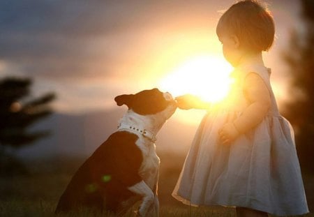 Friend - babygirl, sun shine, friend, dog