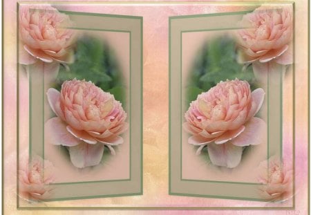 REAL PEACHY! - roses, shadow overlays, framed, peach