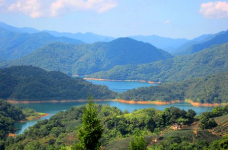 Scenic lake - mountains, tea plantations, scenic lake, beautiful