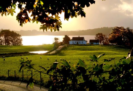 LAKESIDE FARM - roads, lake, field, houses, farm, sheeps