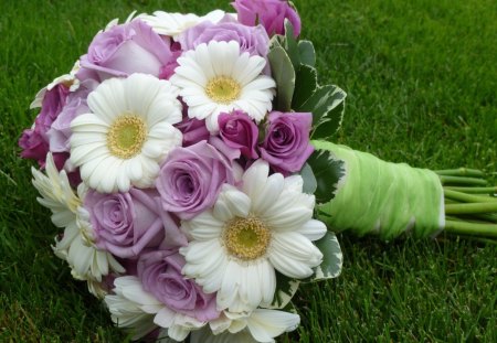 Gerberas and roses - nature, purple, roses, gerberas, bouquet, purple roses, lovely, fantastic