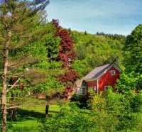 Red forest house