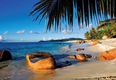 Tropical beach - nice, beach, sky, tropics, water, pretty, clouds, relax, sands, ocean, palms, tropical, lovely, exotic, waves, nature, beautiful, rest, stones, sea