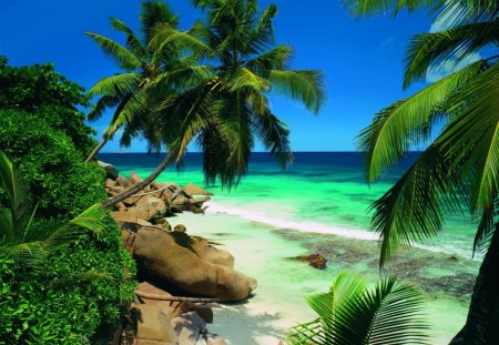 Seychelles - relax, summer, blue, beach, seychelles, holiday, palm trees, nice, emerald, sky, clouds, palms, water, beautiful, vacation, sea, travel, lovely, ocean, rest, tropics, nature, tropical, green, sands