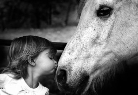 Kisses For You - black, girl, white, horse