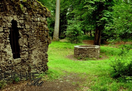 forest well - trees, fountain, well, green, fortress, forest, ruins