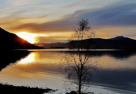 A Beautiful Autumn Evening - sunset, autumn, evening, lake, tree