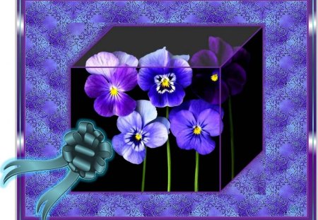 GIFT WRAPPED FOR PURPLE HAZE. - purple, ribbon, box, pansies