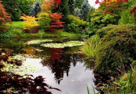 Lake - lake, reflection, landscape, trees, nature