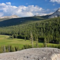 Yosemite National Park
