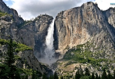 Breathtaking Yosemite Falls - nature, yosemite, trees, waterfall