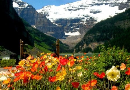 The beauty of Canadian mountains - calm, poppies, summer, landscape, grass, mountain, flowers, fresh, nice, sky, clouds, greenery, mountainscape, beautiful, colors, lovely, freshness, peaks, slopes, colorful, nature, canada, green, america, peaceful, nnowy